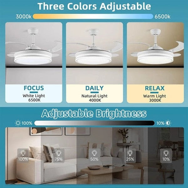 Modern Ceiling Fan Light LED Fan with Remote Control