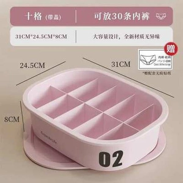 Bra Underwear Socks Storage Box