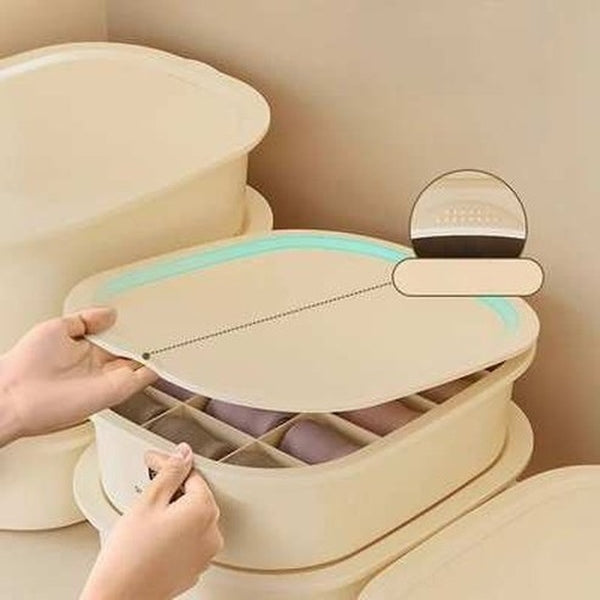 Bra Underwear Socks Storage Box