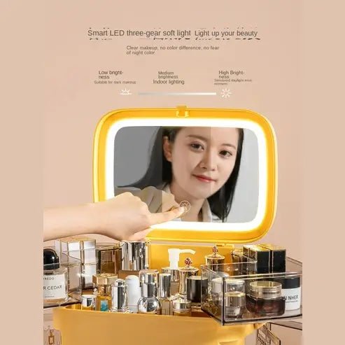 Desktop Jewelry Organizer Case with Mirror and LED