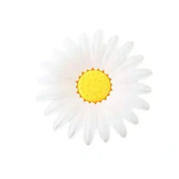 Double-Layer Daisy Bathroom Soap Dish