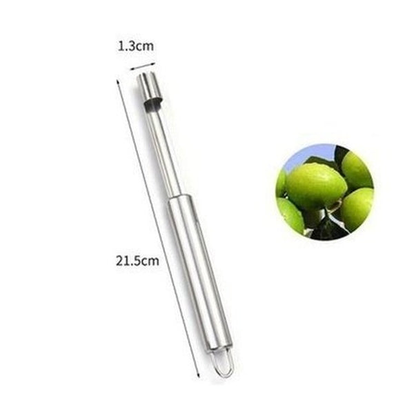 304 Stainless Steel All Kinds Of Fruit De-Nucleator Home Red Date Hawthorn Extracting Core De-Seeding Tools. Kitchen Tools & Utensils: Food Peelers & Corers.