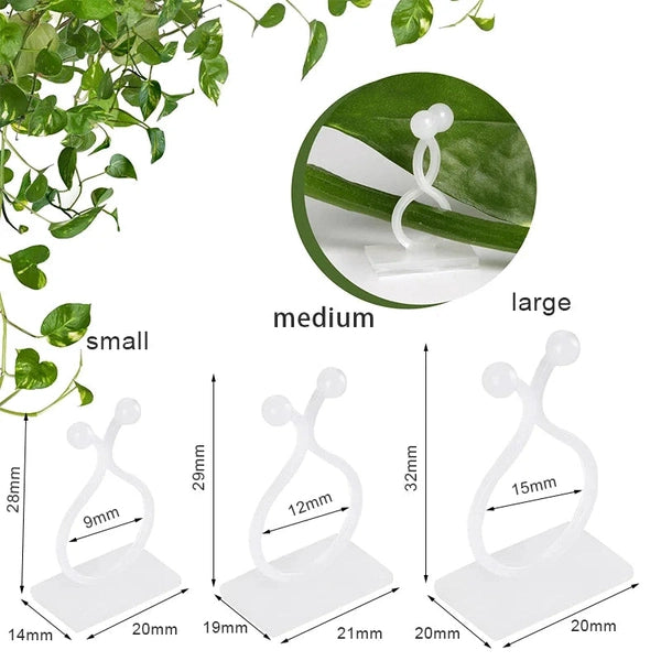 Plant Wall Clips for Climbing Plants