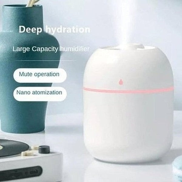 Portable USB Humidifier Aroma Diffuser Sprayer