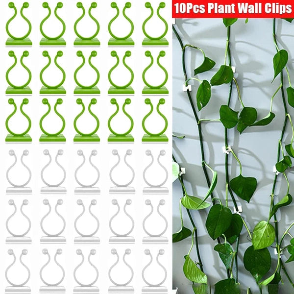 Plant Wall Clips for Climbing Plants