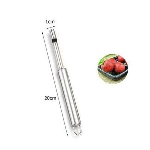 304 Stainless Steel All Kinds Of Fruit De-Nucleator Home Red Date Hawthorn Extracting Core De-Seeding Tools. Kitchen Tools & Utensils: Food Peelers & Corers.