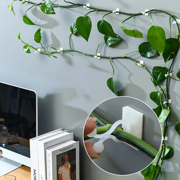 Plant Wall Clips for Climbing Plants