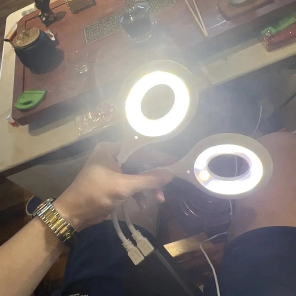 Intelligent Voice-Controlled LED Cat Night Light