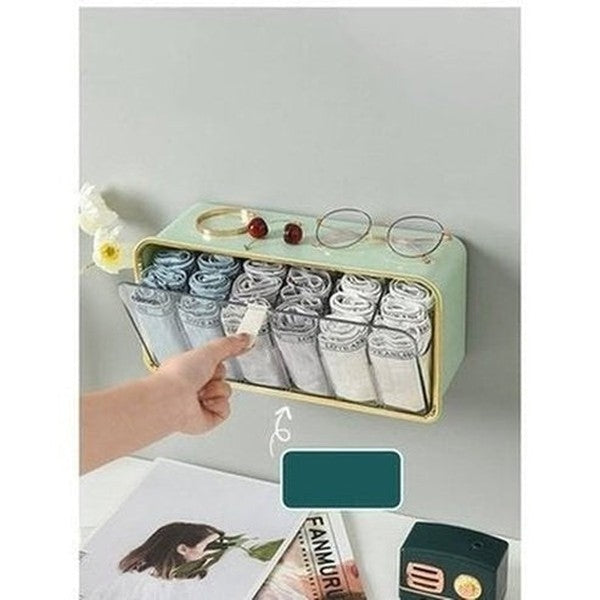 Hanging Underwear Storage Drawer