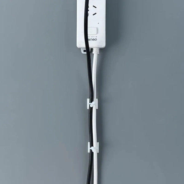 Plant Wall Clips for Climbing Plants