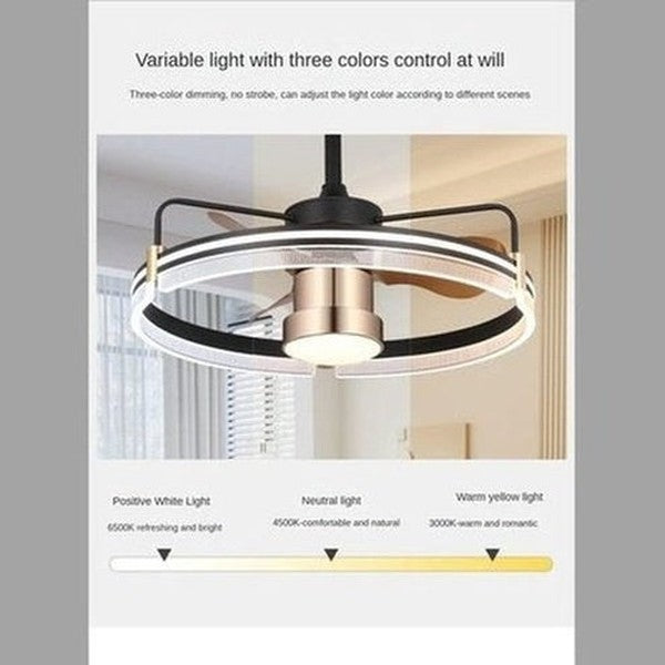 RC Ceiling Fan Lamp LED Three-color Lighting Integrated Fan Lamp Frequency Conversion Mute Modern Household Ceiling Fan Lamp. Decor: Lamps.