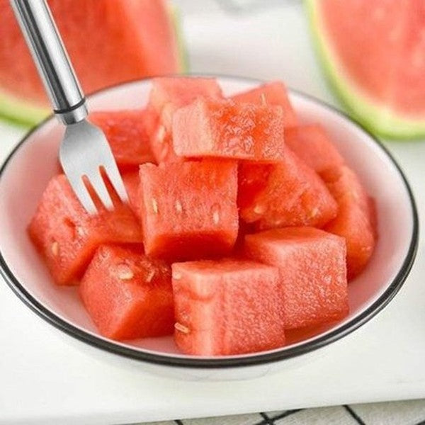 Multifunctional 2 IN 1 Stainless Steel Watermelon Cutter