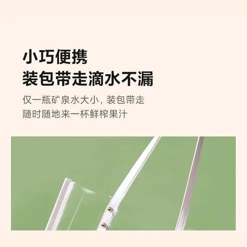 Zhenmi Portable Wireless Electric Juicer