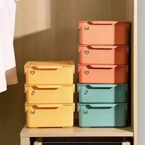 Sliding Lid Underwear Container Clothing & Closet Storage Sliding Lid Underwear Storage Container – Dondepiso