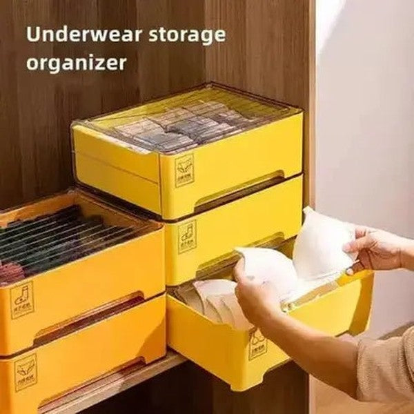 Underwear Storage Box Clothing & Closet Storage Sturdy Underwear Storage Box with Lid – Dondepiso