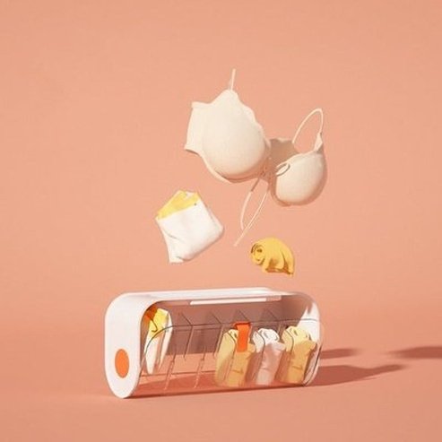 Wall-Mounted Hanging Underwear Storage Container