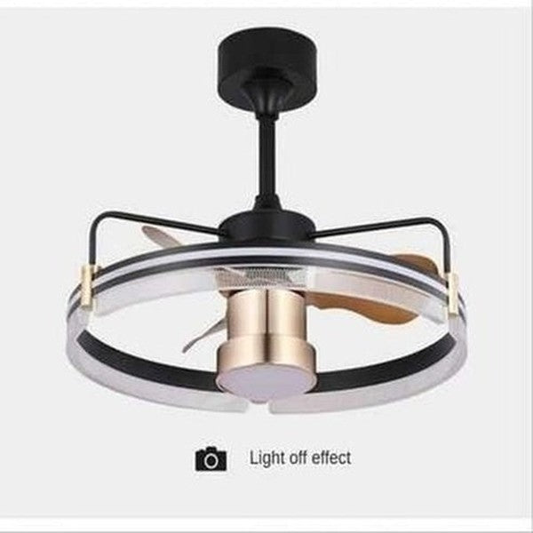 RC Ceiling Fan Lamp LED Three-color Lighting Integrated Fan Lamp Frequency Conversion Mute Modern Household Ceiling Fan Lamp. Decor: Lamps.
