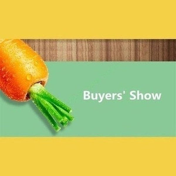 Electric Fruit Juicer Juicers Red 2 Cups 2 Blades Electric Fruit Juicer · Dondepiso