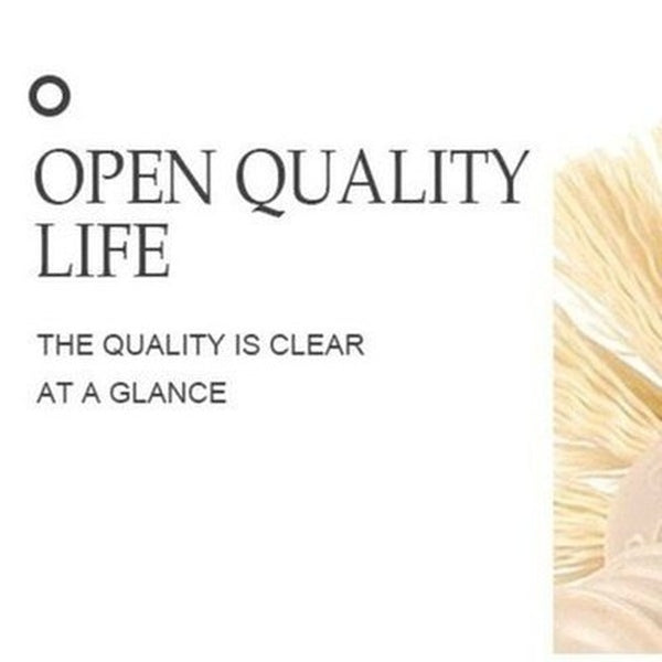 Nylon Toilet Brush Toilet Brushes & Holders Wooden Handle Nylon Head Toilet Cleaning Brush · Dondepiso