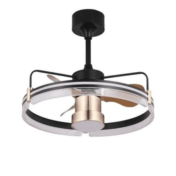 RC Ceiling Fan Lamp LED Three-color Lighting Integrated Fan Lamp Frequency Conversion Mute Modern Household Ceiling Fan Lamp. Decor: Lamps.