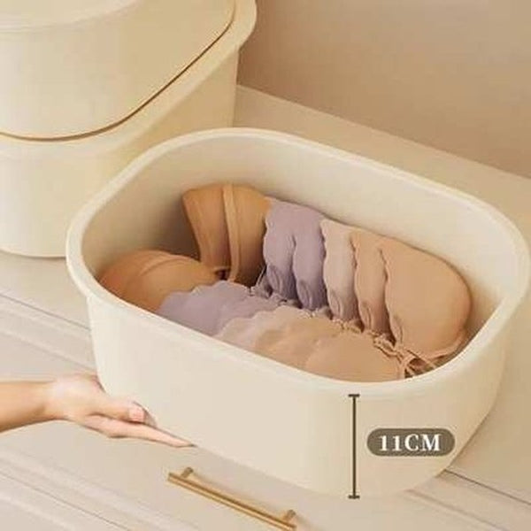 Bra Underwear Socks Storage Box