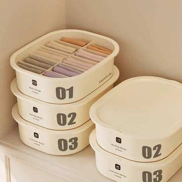 Bra Underwear Socks Storage Box