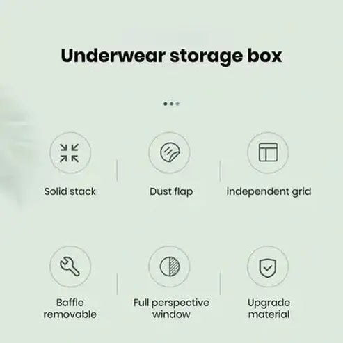 Partitioned Underwear Storage Container