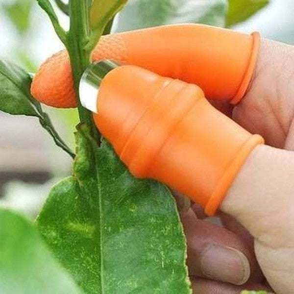 Tip Picker Iron Nail Pick Grape Picker For Garden