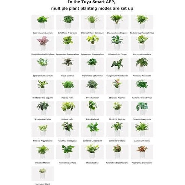 Smart Interactive Planter with Digital Photo Frame and Plant Care