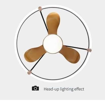 RC Ceiling Fan Lamp LED Three-color Lighting Integrated Fan Lamp Frequency Conversion Mute Modern Household Ceiling Fan Lamp. Decor: Lamps.