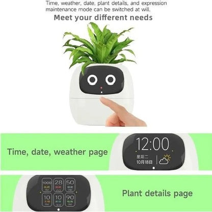 Smart Interactive Planter with Digital Photo Frame and Plant Care