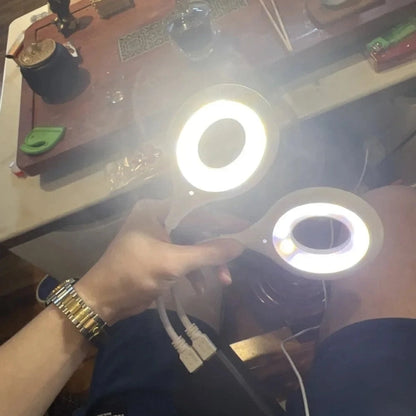 Intelligent Voice-Controlled LED Cat Night Light