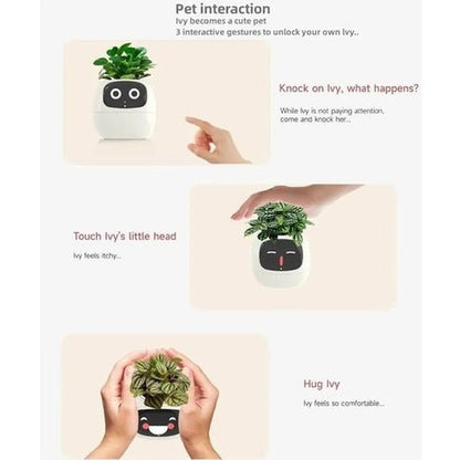 Smart Interactive Planter with Digital Photo Frame and Plant Care