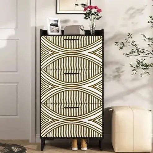 Shoe Cabinet Organizer