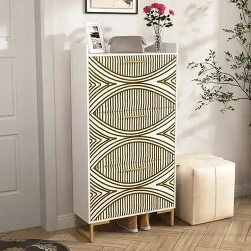 Shoe Cabinet Organizer