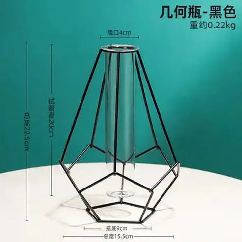 Tube Hydroponic Vase with Wrought Iron Frame