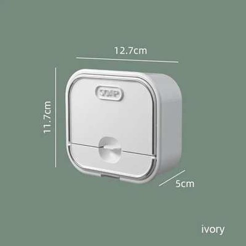 Wall-mounted Drain Soap Box