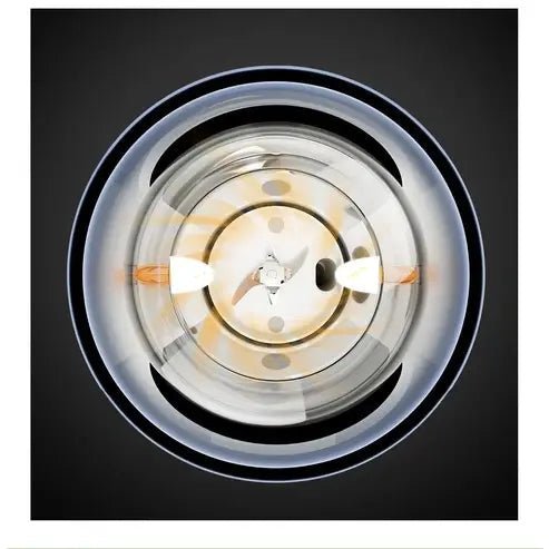 Zhenmi Portable Wireless Electric Juicer