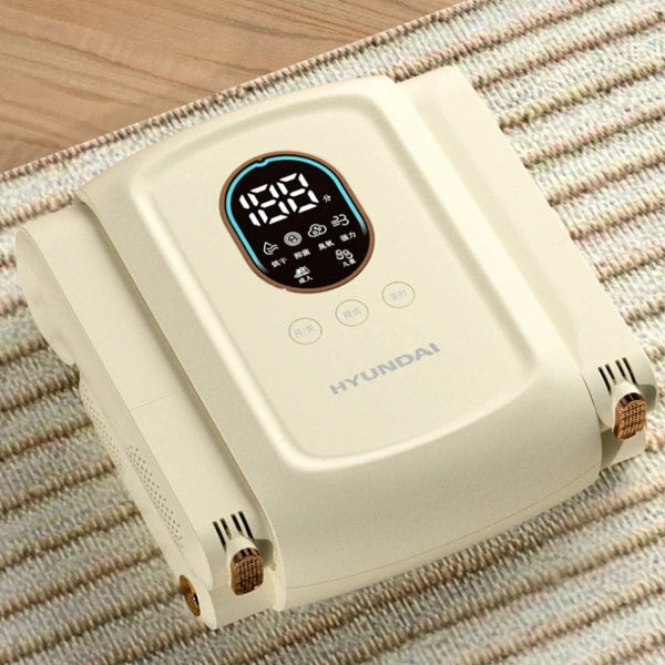 Smart shoe dehumidifier designed for sneakers boots and winter shoes