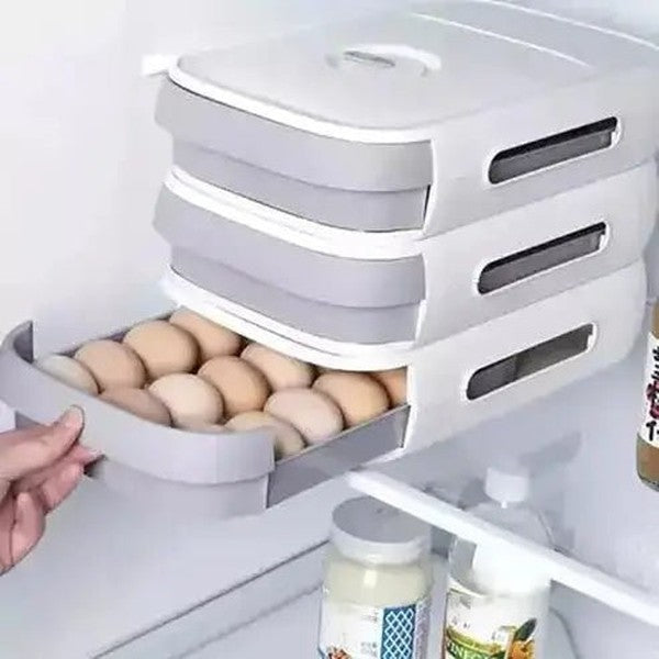 Egg Storage Box Food Storage Containers Large Capacity Egg Storage Box Refrigerator · Dondepiso