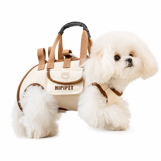 Outdoor Pet Carrying Bag for Small Dogs and Medium Cats