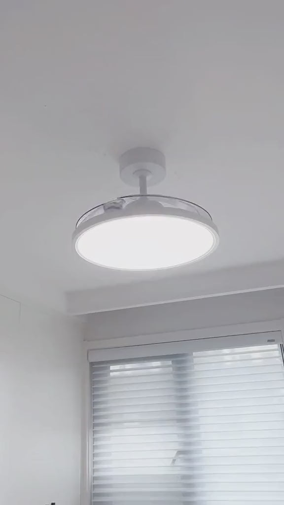 Modern Ceiling Fan Light LED Fan with Remote Control