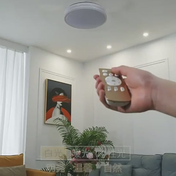 Modern Ceiling Fan Light LED Fan with Remote Control