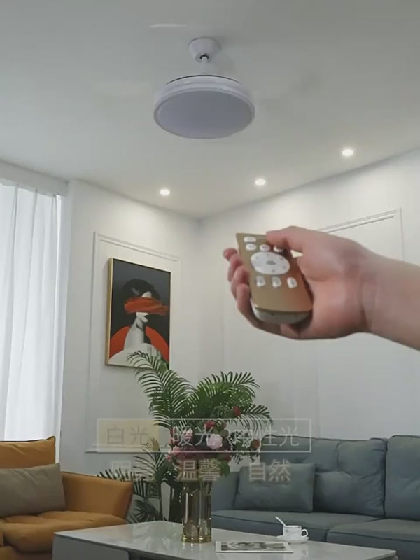 Modern Ceiling Fan Light LED Fan with Remote Control