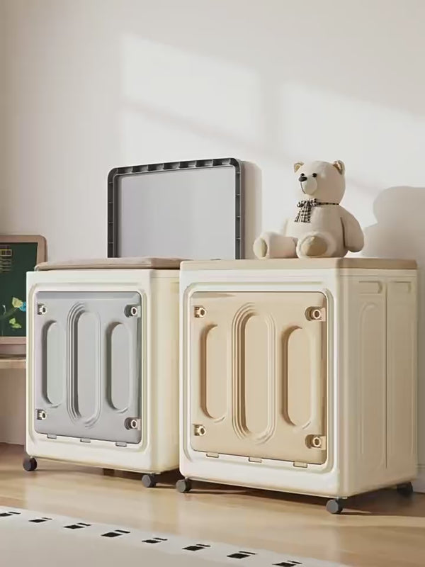modern clothes storage box with adjustable compartments