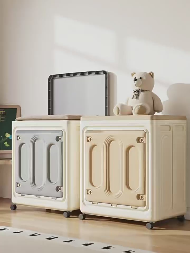 modern clothes storage box with adjustable compartments