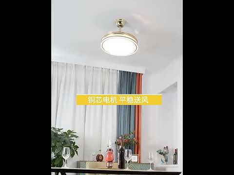 Modern Ceiling Fan Light LED Fan with Remote Control