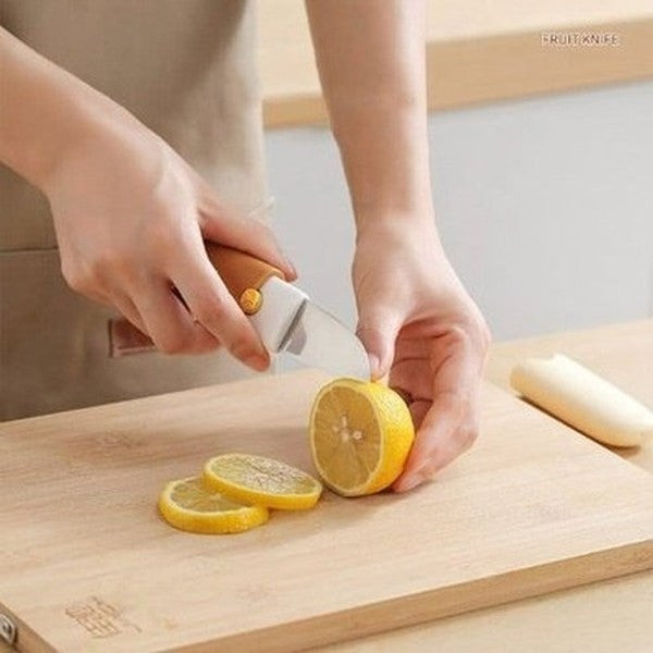 Versatile Stainless-Steel Kitchen Slicing Knife