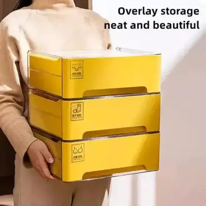 Underwear Storage Box Clothing & Closet Storage Sturdy Underwear Storage Box with Lid – Dondepiso