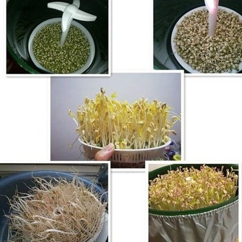 Bean Sprouts Machine Cultivating Tools Green Easy & Quick 3 Layers Bean Sprout Germination Machine · Dondepiso